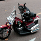 Via motorbiker.org